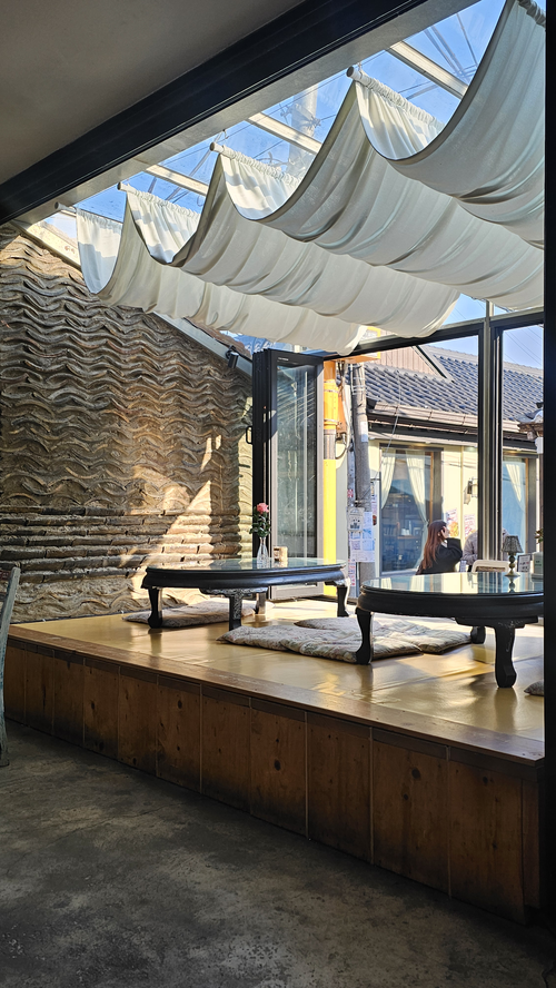식물
