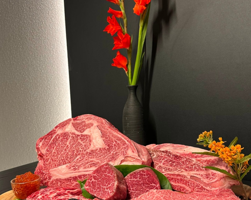 [서울 강남] 묘우 압구정점