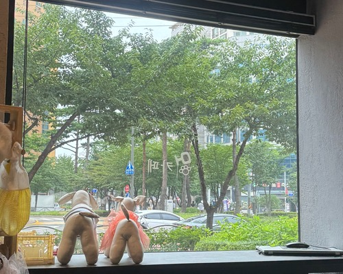 애견동반카페멍